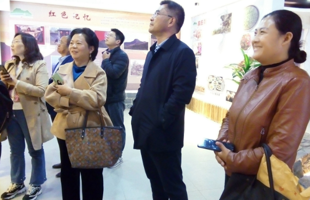 “自治区召开非公有制经济从业领导小组视频会议”